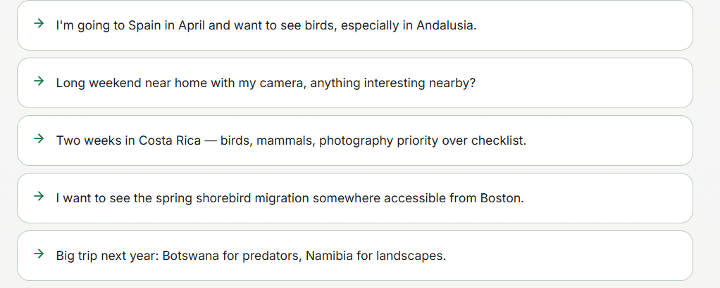 A list of Faunero example trip starters for Spain, Costa Rica, Boston shorebirds, and Botswana or Namibia.